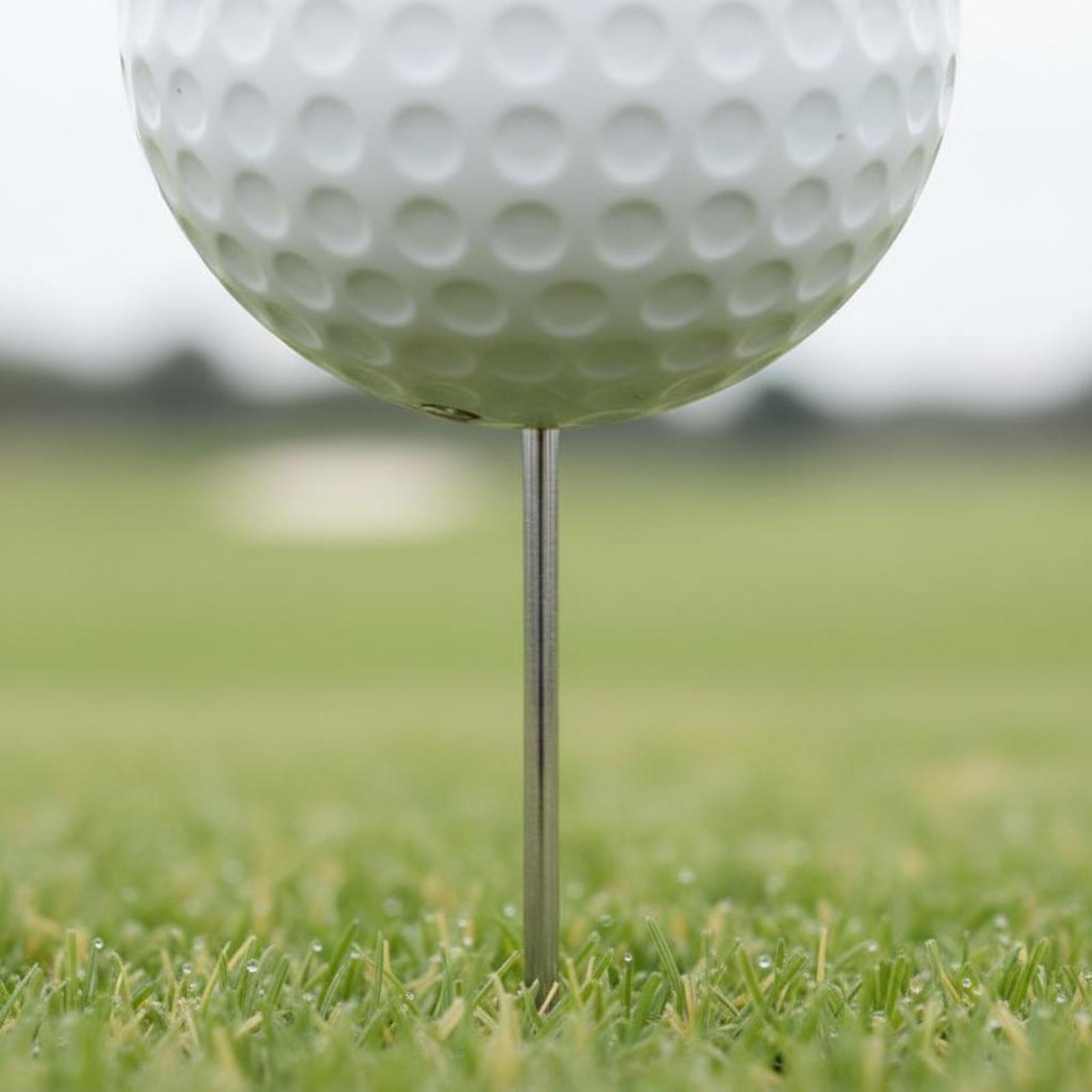 Penanda Bentuk Bola Golf untuk - Golf Tees ulasan dan harga